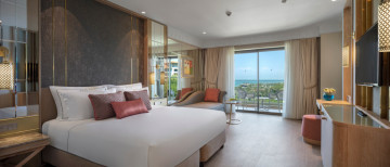 Superior Room (45 m²)