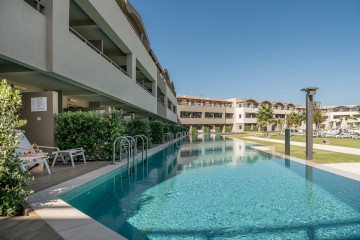 Family Suite Sharing Pool