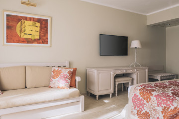 Double Superior Room (38 m²)