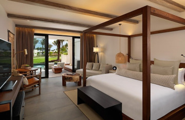 Alcoba Swim-Up Pool (58 m²)