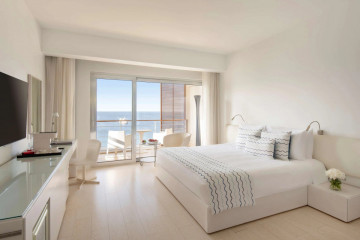 Panoramic Club Room (39 m2)