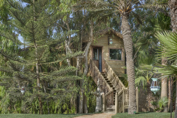 Treehouse Suite (40 m²)