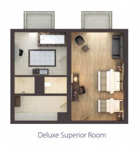 Deluxe Superior Room