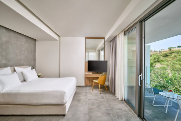 Deluxe Junior Suite Garden View with Private Pool (45 m²)