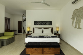 Deluxe Rooms with Attic (74 m²)