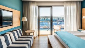 Superior Room Park View