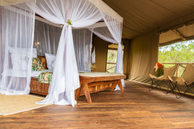 Triple Tent (49 m²)