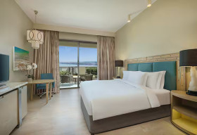 King Guest Room (32 m2)