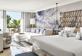 Deluxe Junior Suite (60m²)