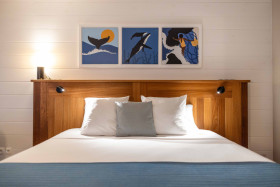 Standard Room (25 m²)