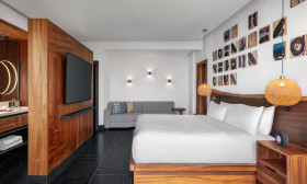 Tropical View Guestroom with King Bed