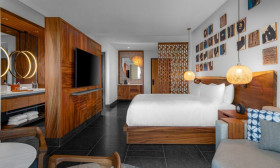 1 King Mobility Accessible with Roll in Shower