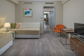 Executive Family Suite Sea View with Personal Pool (70 m2)