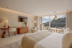 Deluxe Premium Room (46 m²)