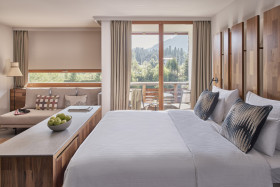 Deluxe Room Mountain View