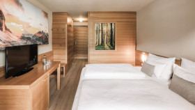 Classic Double Room Backside