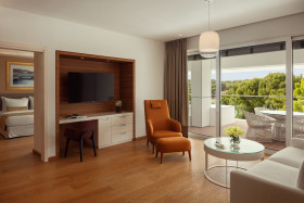 Luxury Suite