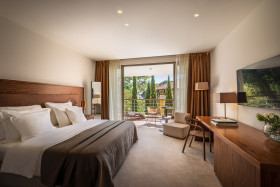 Premium Room Park Side