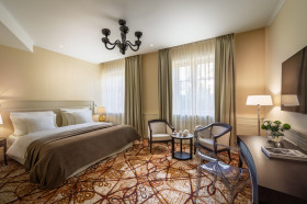Deluxe Room Park Side