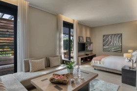 Vineyard Junior Suite with Terrace