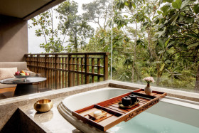 Forest View Room