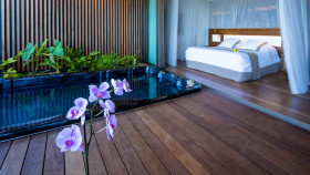 Suite Romantique - Villa avec SPA