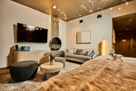 Premium Suites
