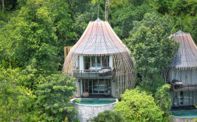 Tree Pool Houses