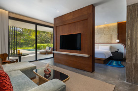 Supreme Suite, 1 King, Private pool