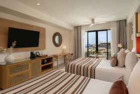 Preferred Club Junior Suite Swim Out