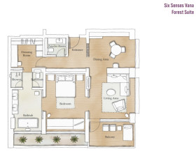 Forest Suite