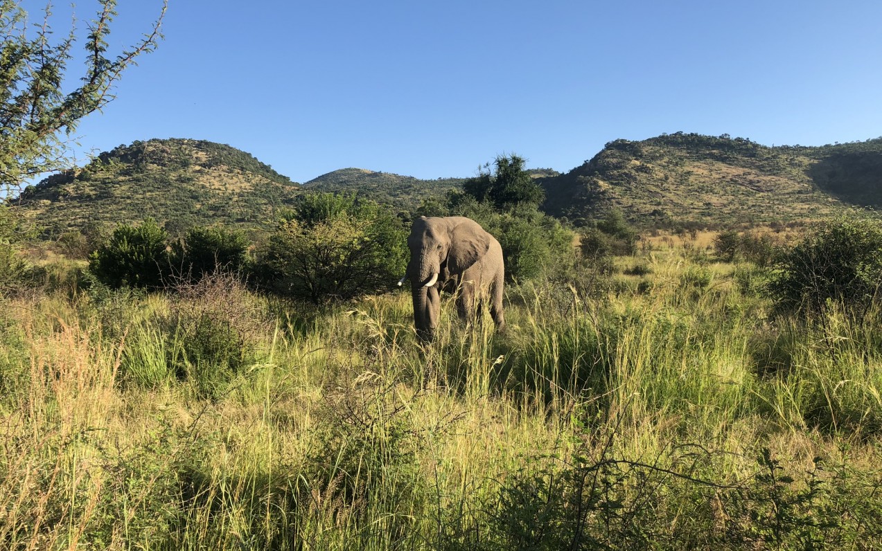 Jihoafrická republika - cesta nabitá neuvěřitelnými zážitky