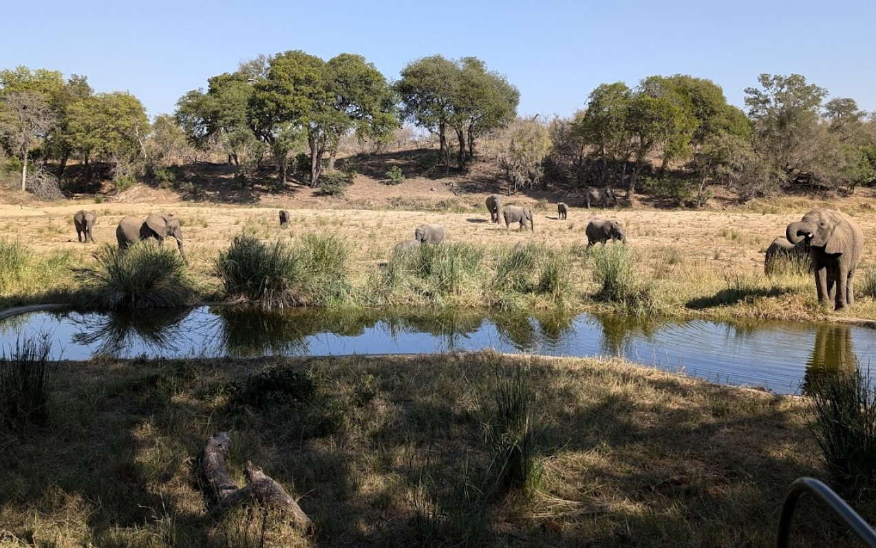 Panorama route a Safari v JAR