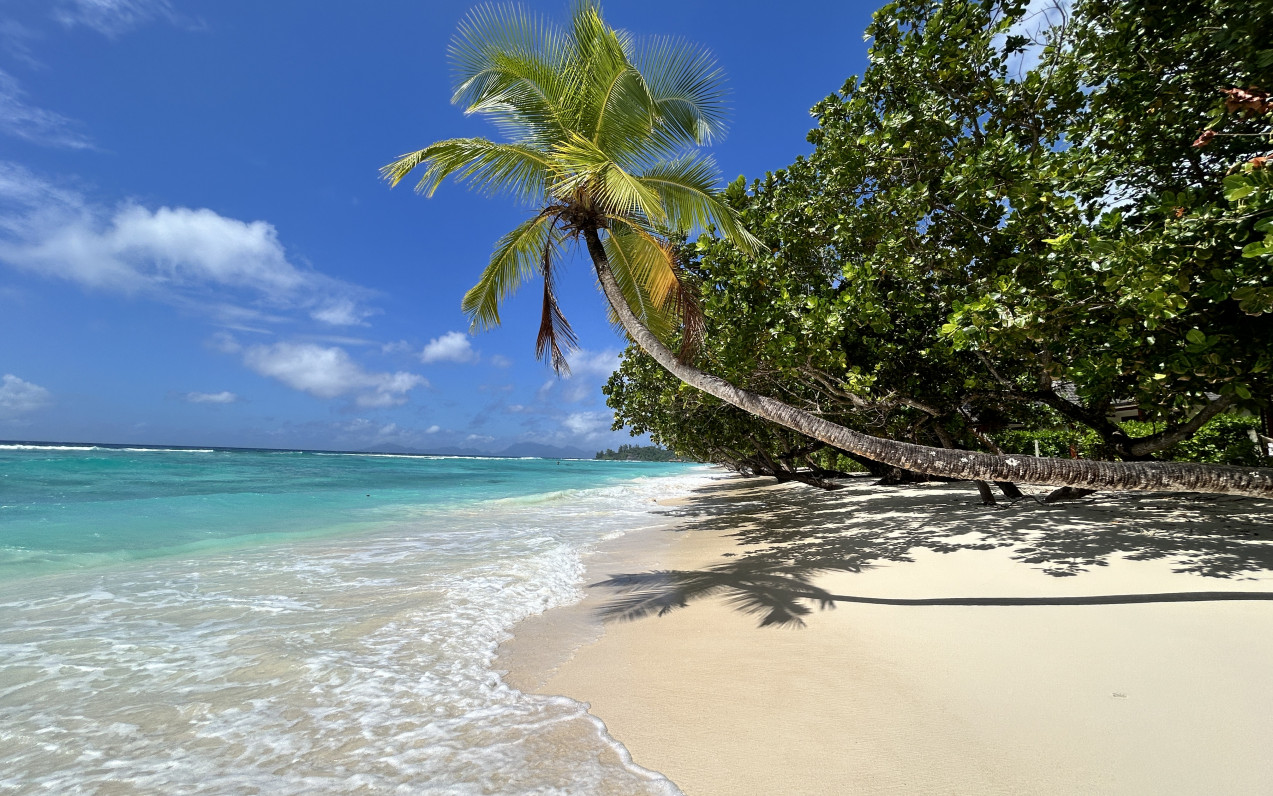 Waldorf Astoria Platte a iné hotely na Seychelách