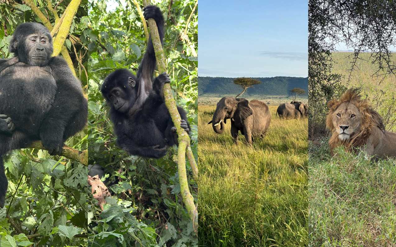 Uganda, Keňa a Tanzanie