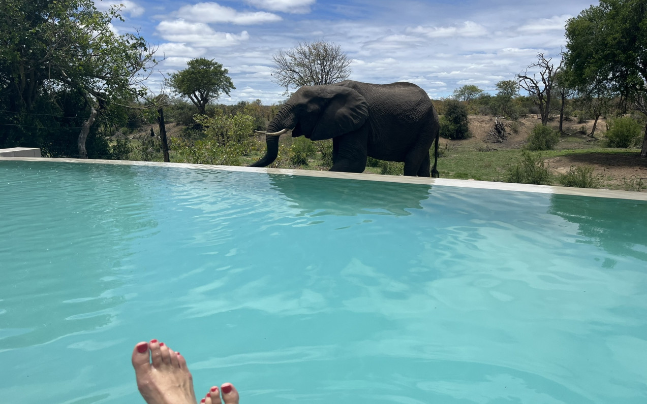 Jihoafrická republika a Mosambik