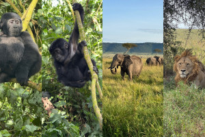 Uganda, Keňa a Tanzanie