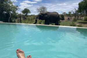 Jihoafrická republika a Mosambik