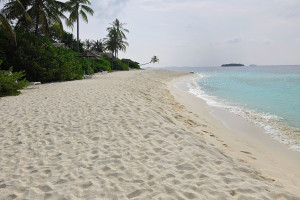 Maledivy: návrat na Cora Cora a srovnání s Brennia Kottefaru